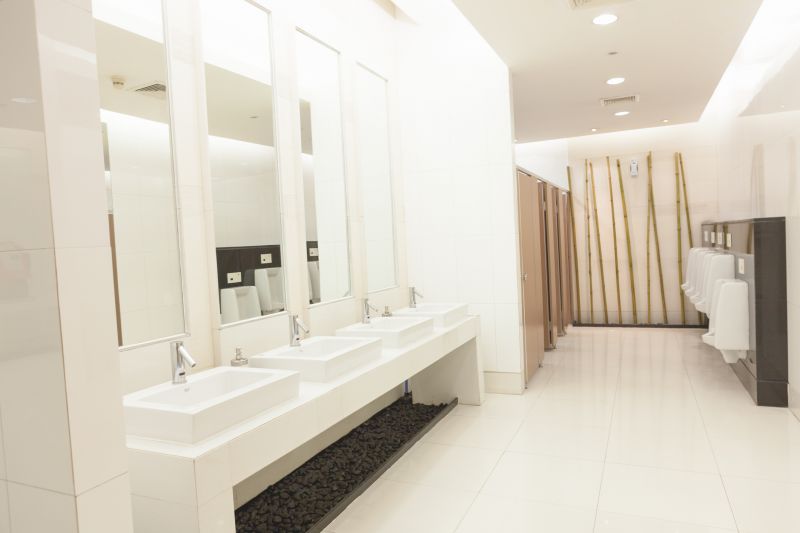 Commercial Toilet Repair detail