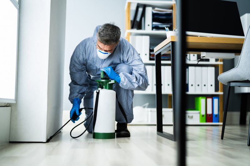 Flea Extermination