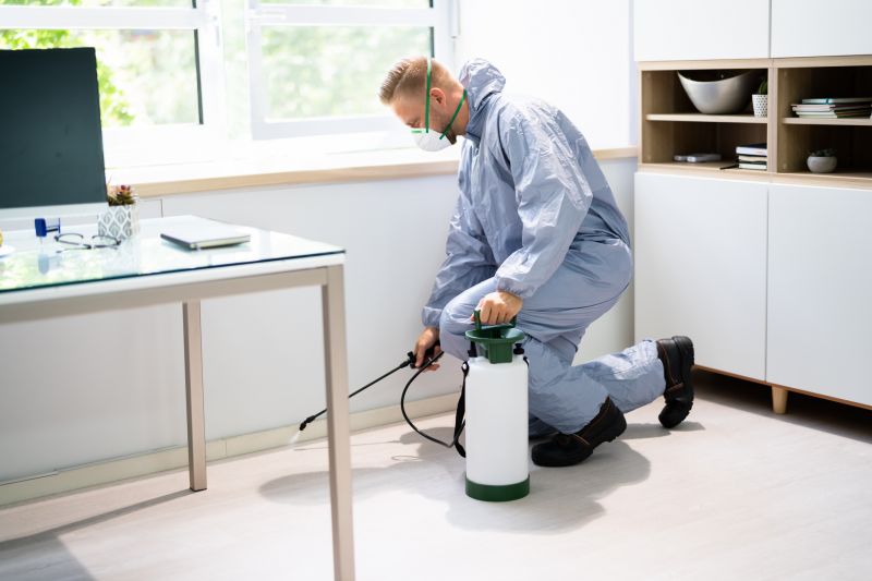 Flea Extermination