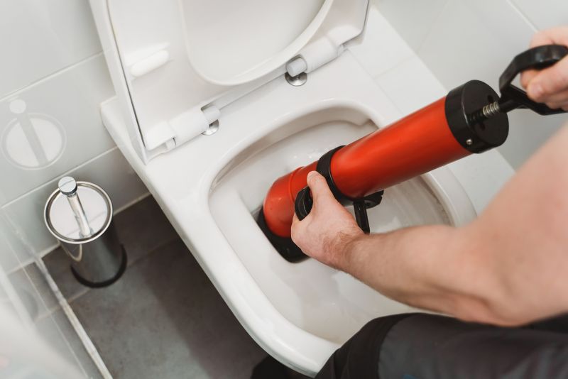 Toilet Plunging